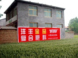 温岭如何让墙体广告展现最大化效果