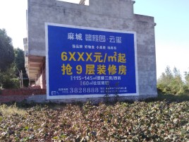 温岭品牌公司青睐的墙体广告