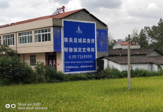 温岭决定墙体广告价格的因素有哪些?